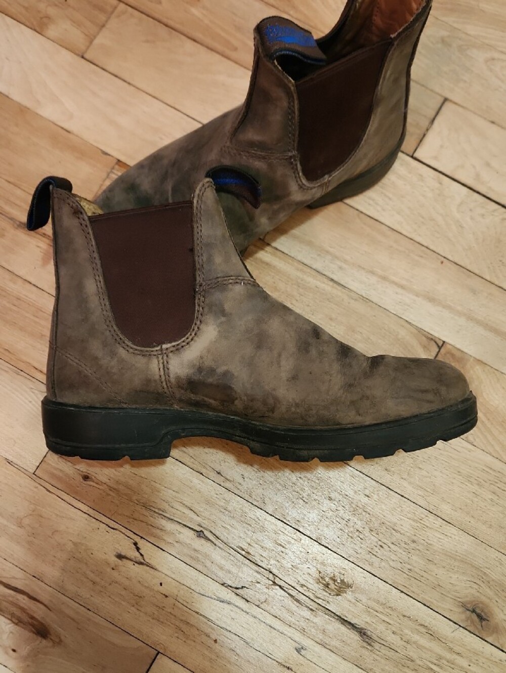 Blundstone Brown Chelsea Ankle Boots - Picture 4 of 12